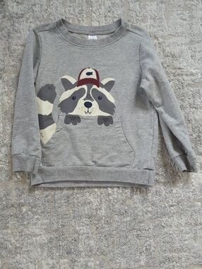 Carter's Gray Raccoon Pullover Sweatshirt Size 5T
